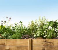 Voll im Trend – Hochbeete